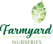 Farmyard Nurseries
